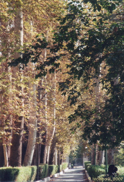 In Baq-e Ferdous Park / در باغ فردوس by Ivonna Nowicka