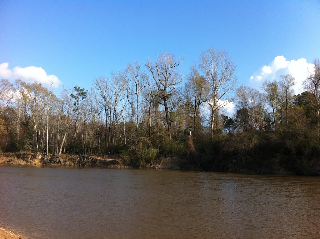 Bogue Chitto State Park by Chengwen Teng