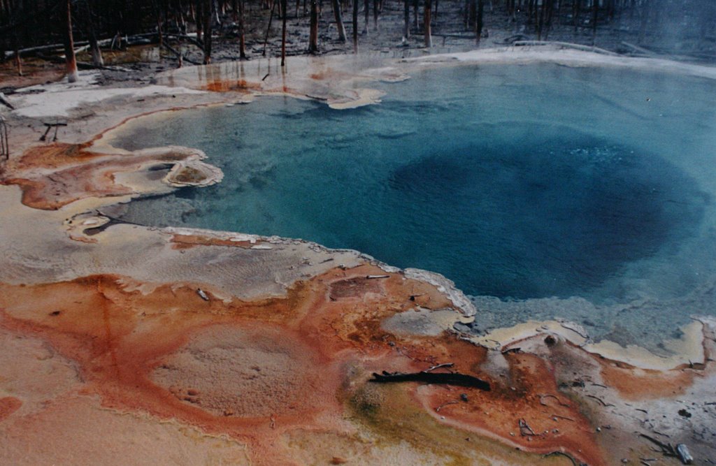 Yellowstone Park by Broz