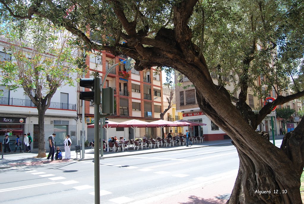 CASTELLÓN 2012.- Terraza del popular "Bar Roca". by Algueró