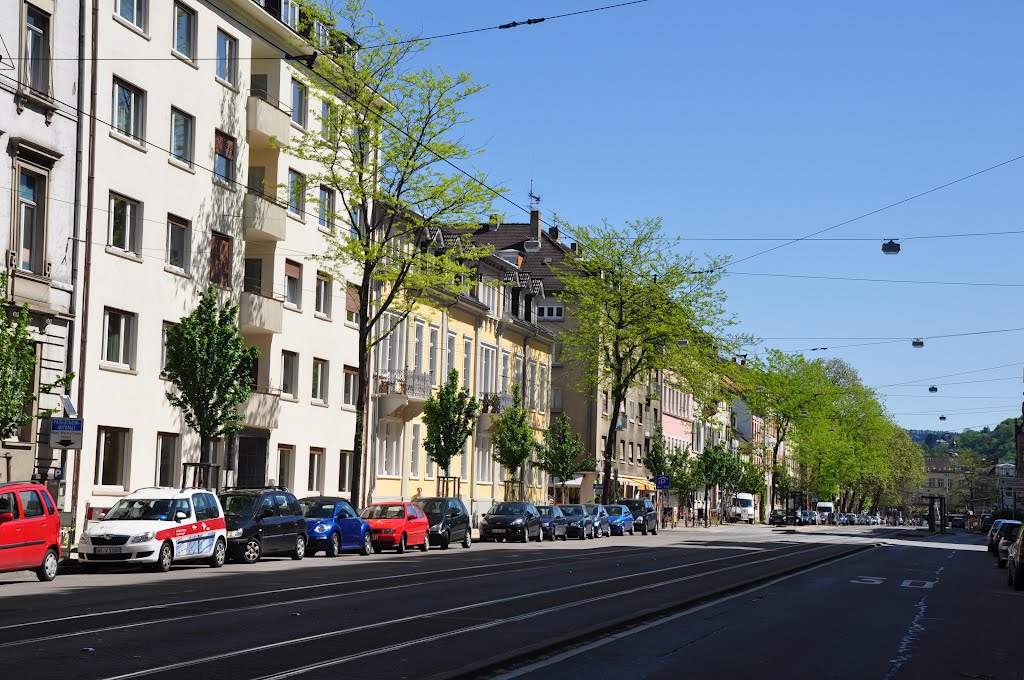 Bergheimer Strasse, Heidelberg by Ser Viajero