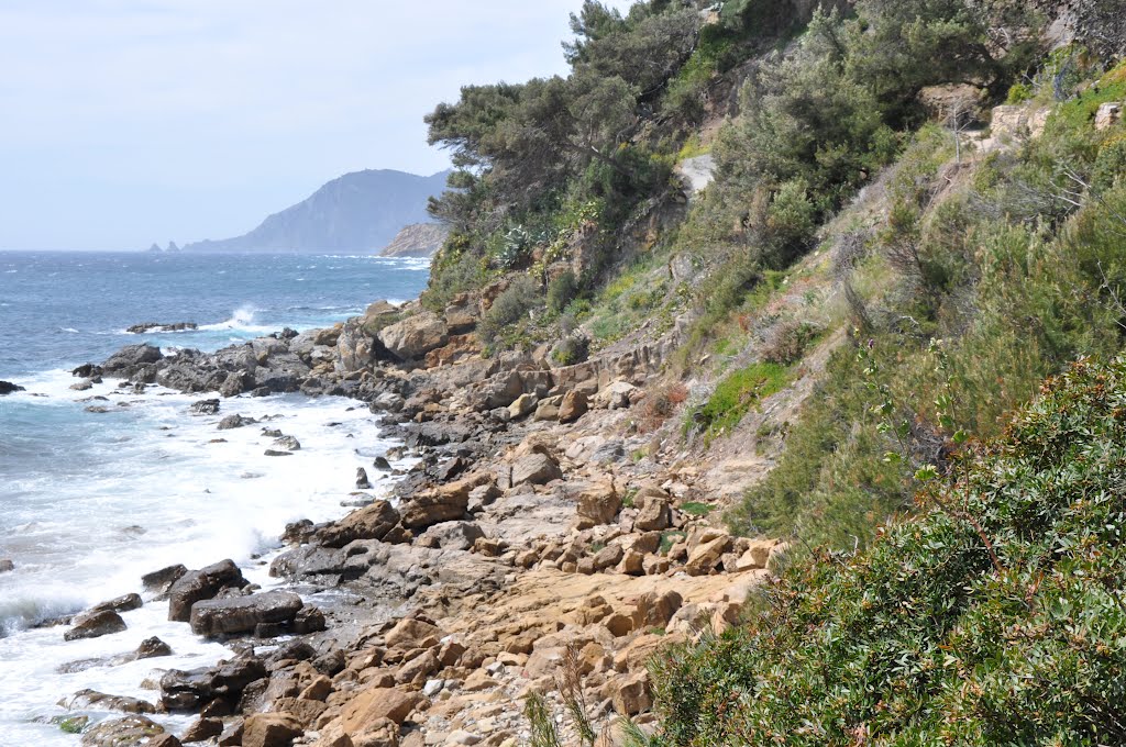 Plage, Saint-Mandrier-sur-Mer, Provence-Alpes-Côte d'Azur, France by M.Strīķis