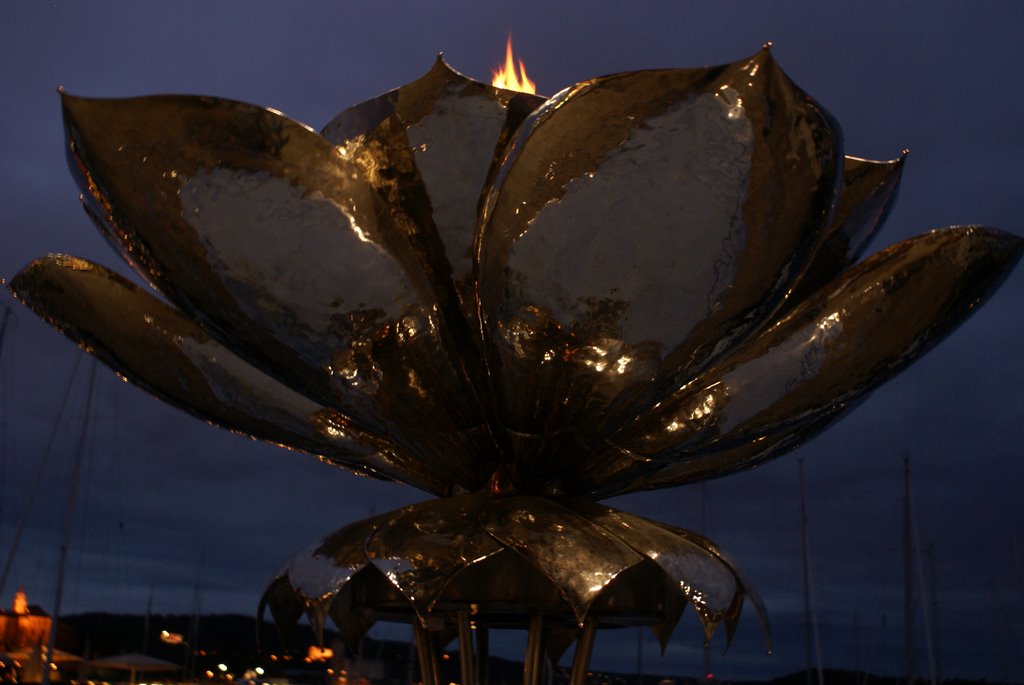 Fleur arctique, Oslo, juillet 2007 by Alexandre Cosentino …