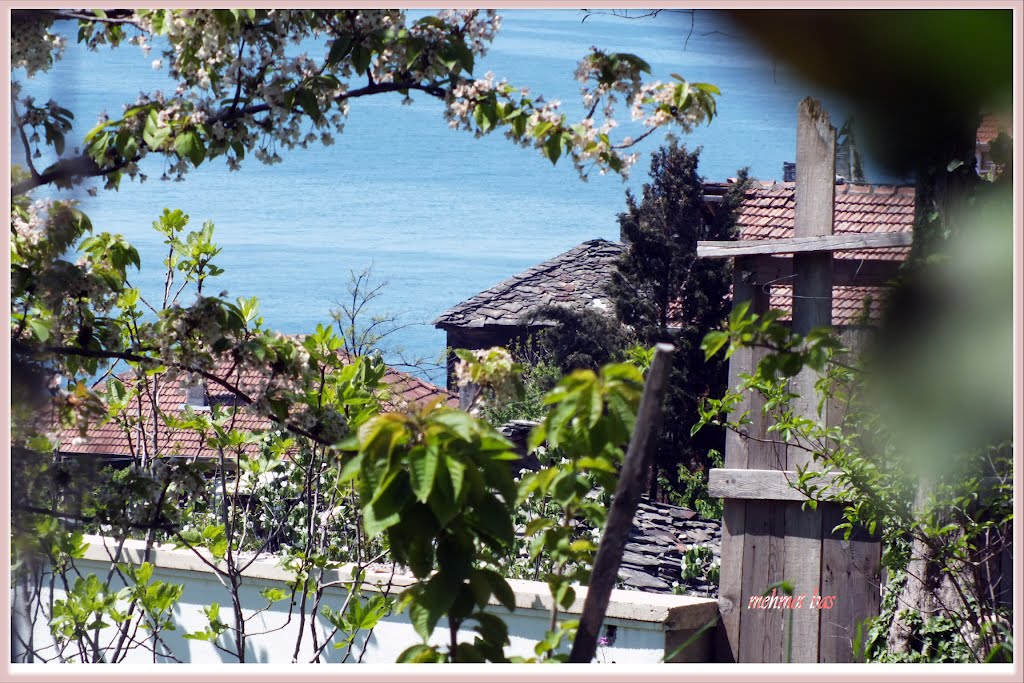 Blacksea view over the roofs of old houses in İnebolu by Mehmet baş