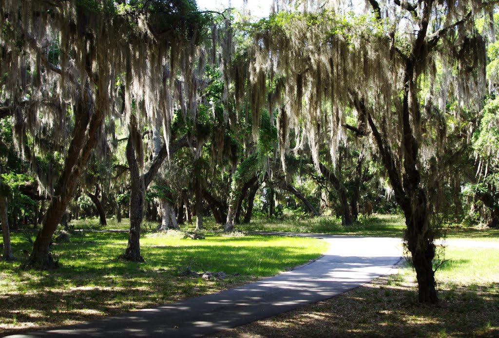 2012, Ga, Sapelo Island - Cultural by Richard Cope