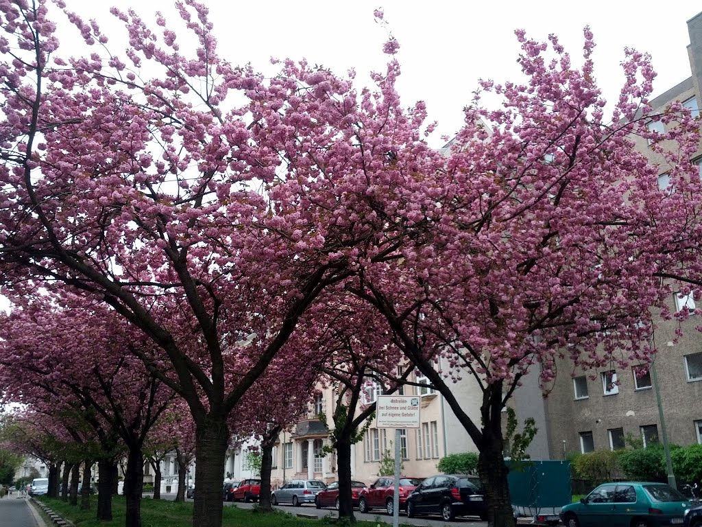 Schöneberg, Berlin, Germany by Philipp H.