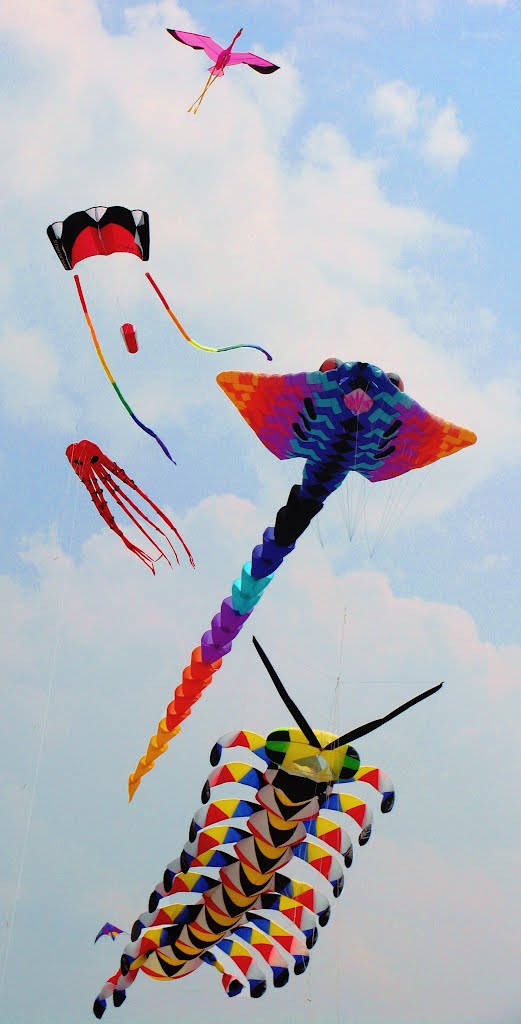 Kite Festival by Chrisssss