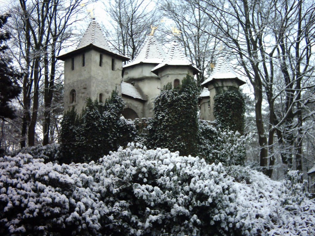 Kasteel van Doornroosje (De Efteling) by Yvette