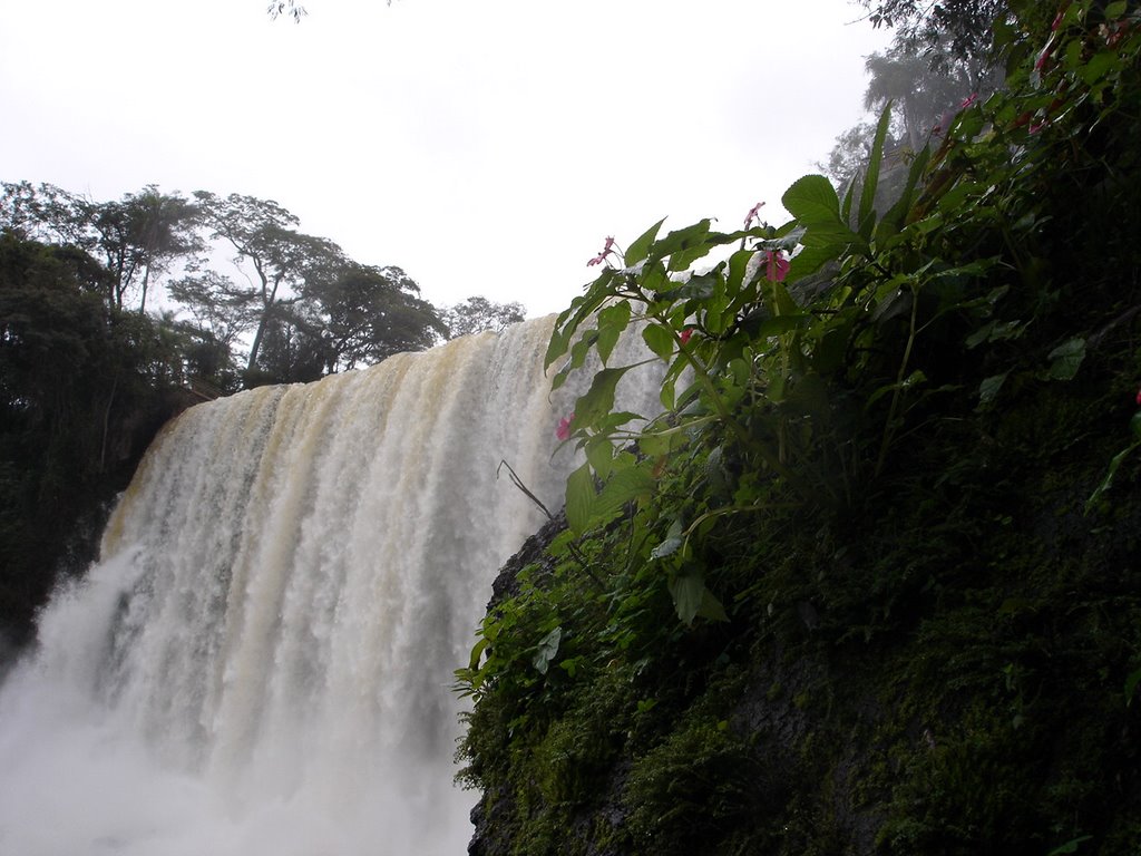 Argentina - Misiones, Cataratas del Iguazú, Salto Bosetti by Carlos Petracca