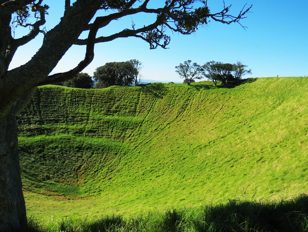 Crater - Mt. Eden Domain, Auckland, North Island, New Zealand. by André Bonacin