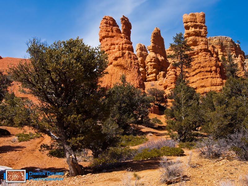 Red Canyon by Damien Delord