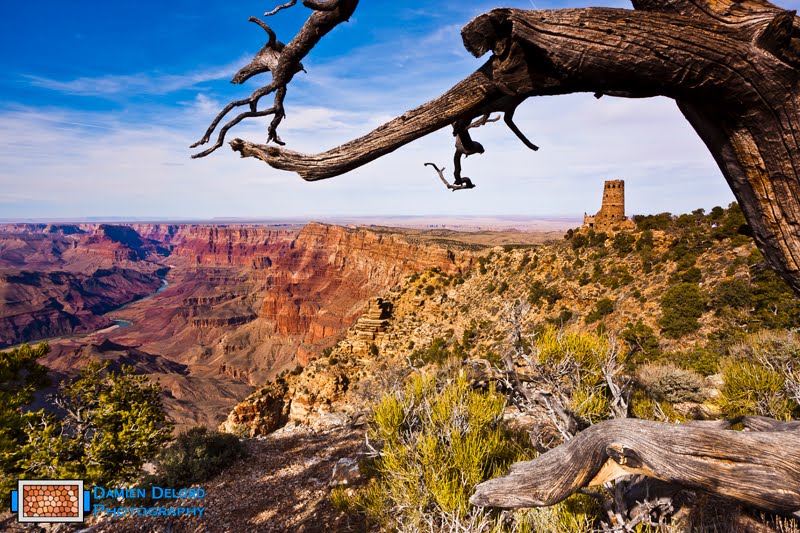 Grand Canyon South Rim by Damien Delord