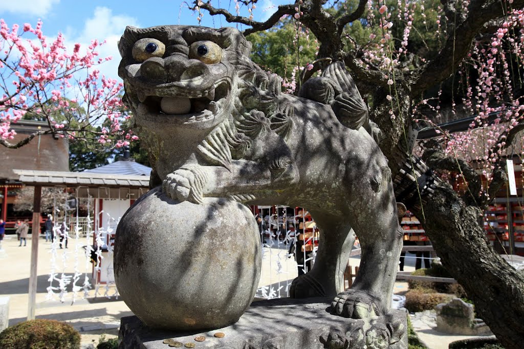 Dazaifu, Tenman by Corine  Michel Giron