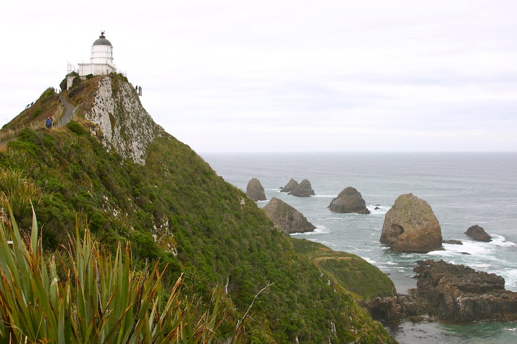 Nugget Point, son phare et ses nuggets by cedfremi