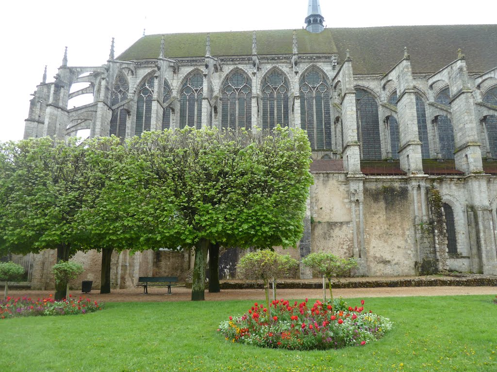 Pl. Saint Pierre. Chartres, France by Eulalia Garreta