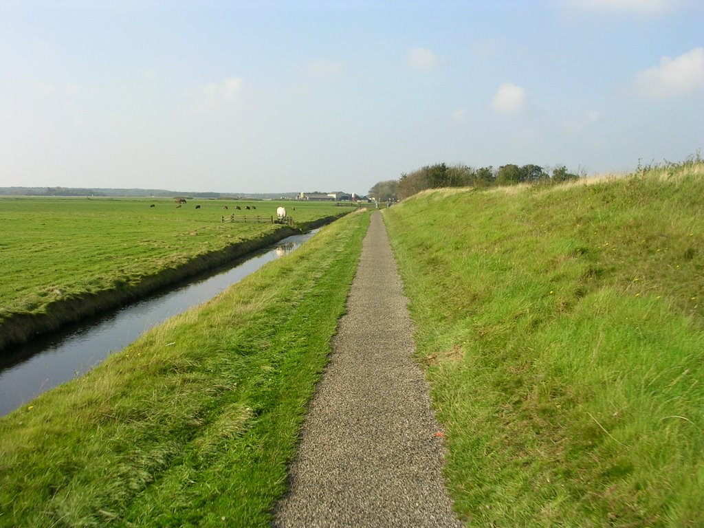 Texel - heading towards the westcoast by drosera