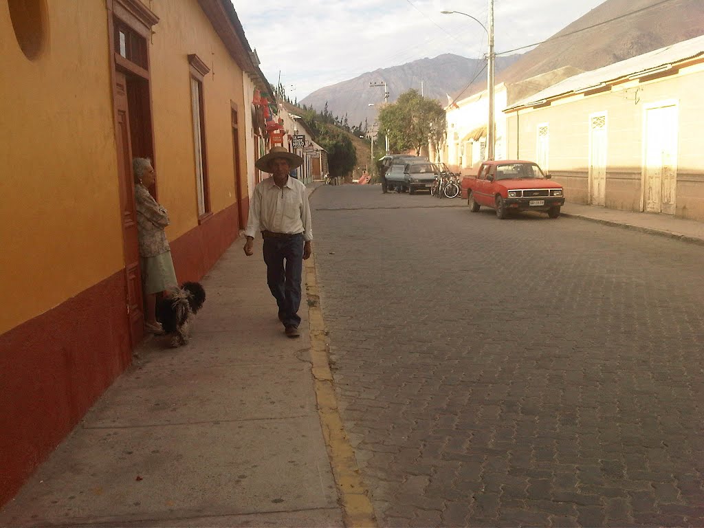 Paihuano, Región de Coquimbo, Chile by Gustavo Soto