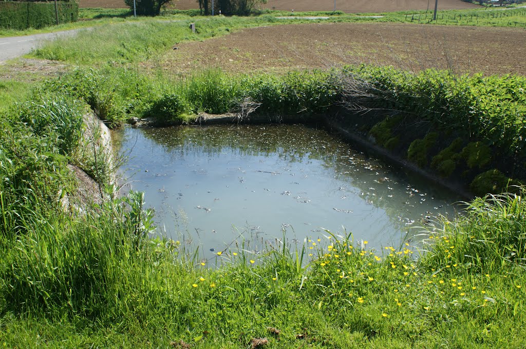 Lavoir à Cruzilles-Lès-Mépillat by philetisa