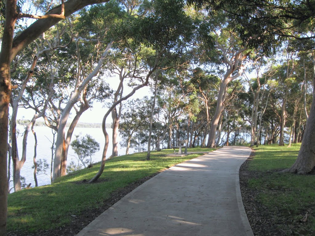 Budgewoi Lake cyclepath @ Buff Point, Central Coast by Rob262