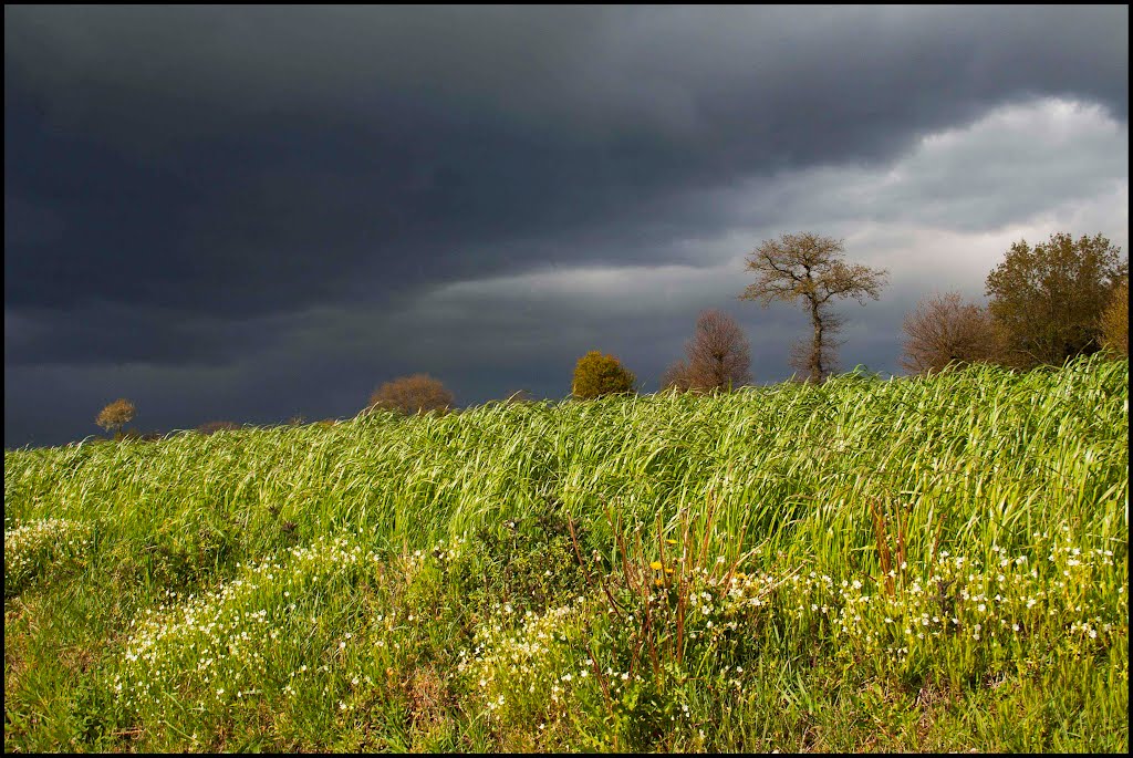 Chemins de Bretagne, le vent se lève, the wind is blowing by pacia