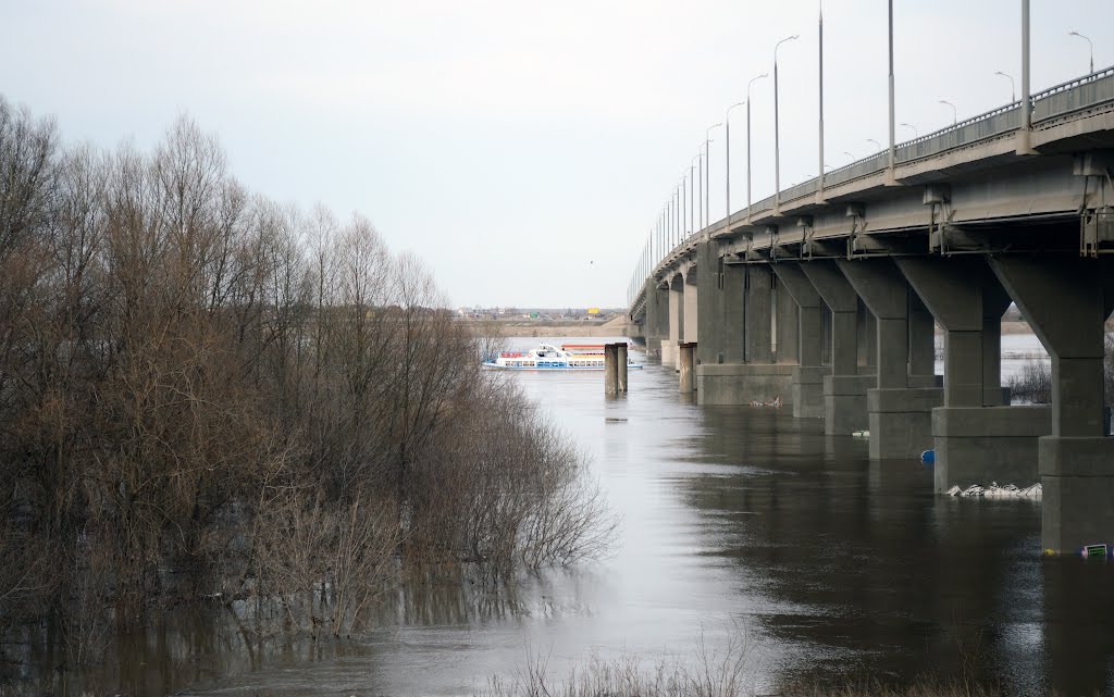 Прогулки на катере во время разлива 19.04.2012 by dmitryrzn