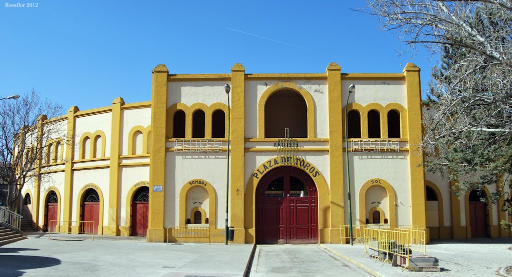 Huesca: Plaza de Toros by Rosaflor