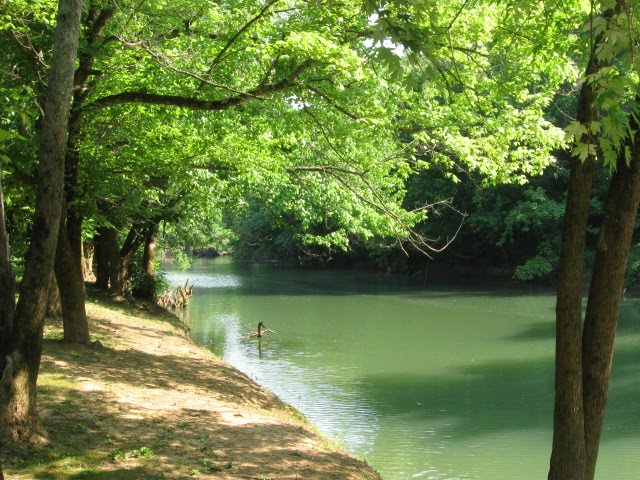 Cadiz Recreation Area by Woodland Trekker