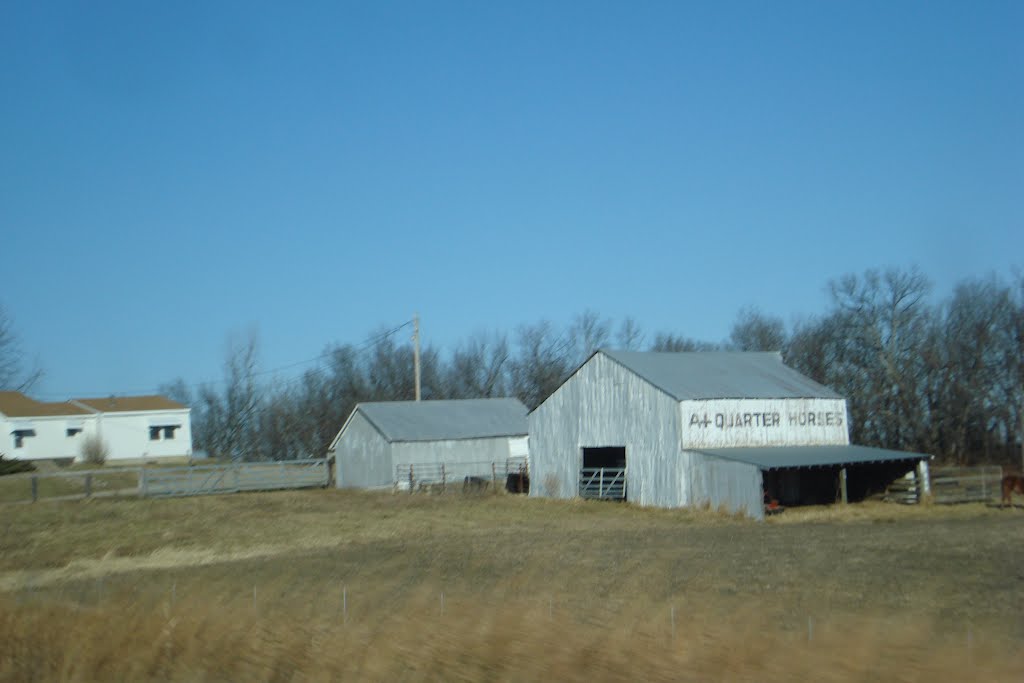 Quarter Horse Farm - Mayetta by caseytop