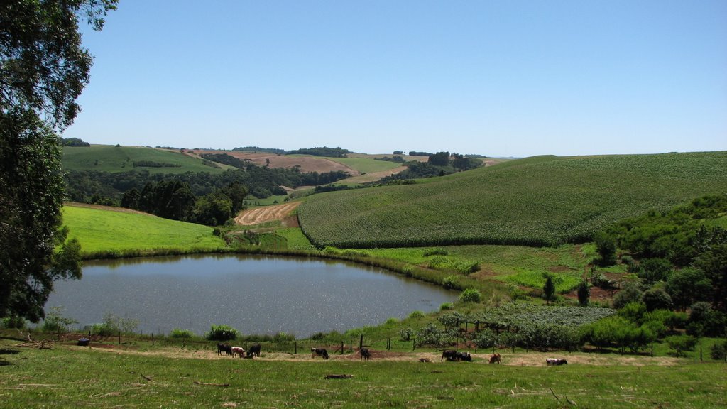 Lago e Cultivo de Milho by Cezar Mario Rech