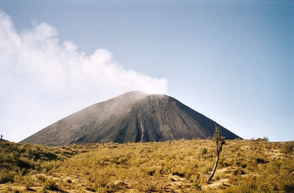 El volcano pacaya, guatemala by danbri