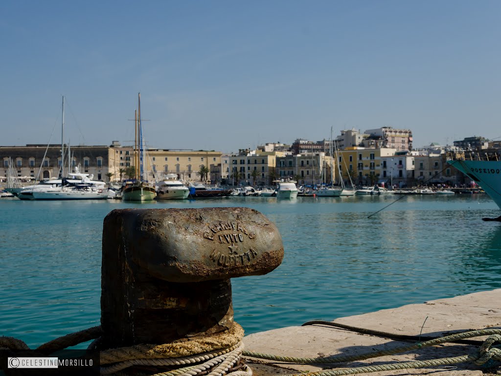 Porto di Trani by Celestino Morsillo