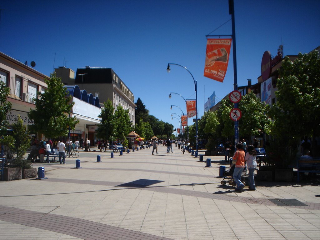 Bulevar de Arauco vista hacia la Plaza by Sergio Reyes Niño