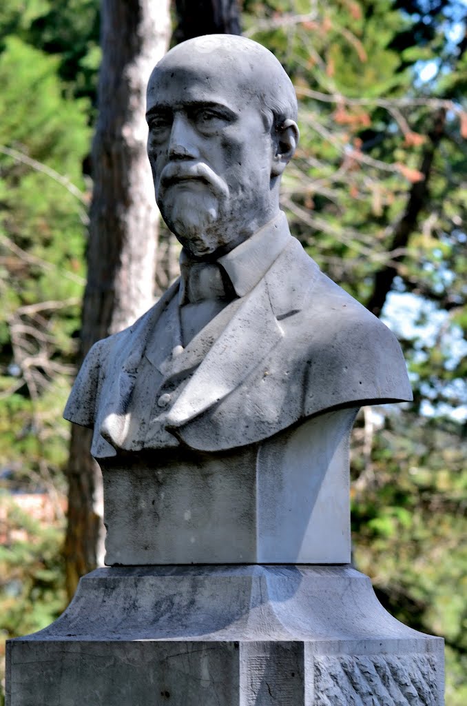 Gustave Adolphe Thuret (23 May 1817 - 10 May 1875), French botanist and founder of the Jardin botanique de la Villa Thuret. by violapinnata