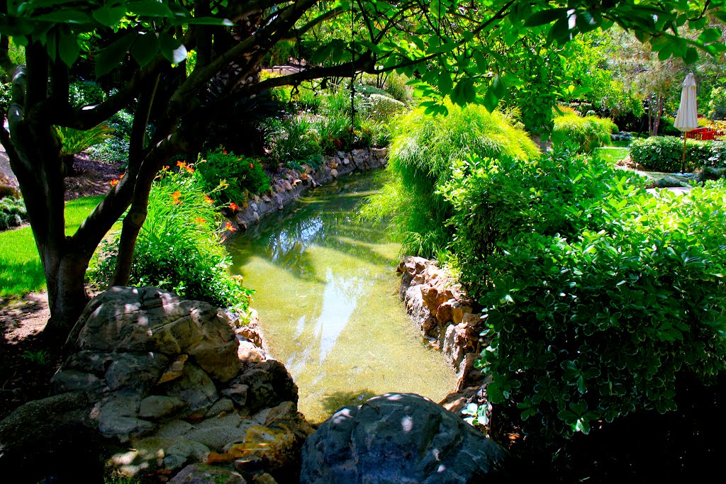 The Langham Hotel Gardens, Pasadena, California by MICHAEL  JIROCH  &  www.michaeljiroch.com