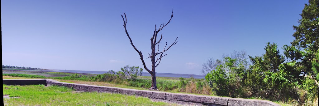 2012 04, Ga, Sapelo Island by Qwilleran