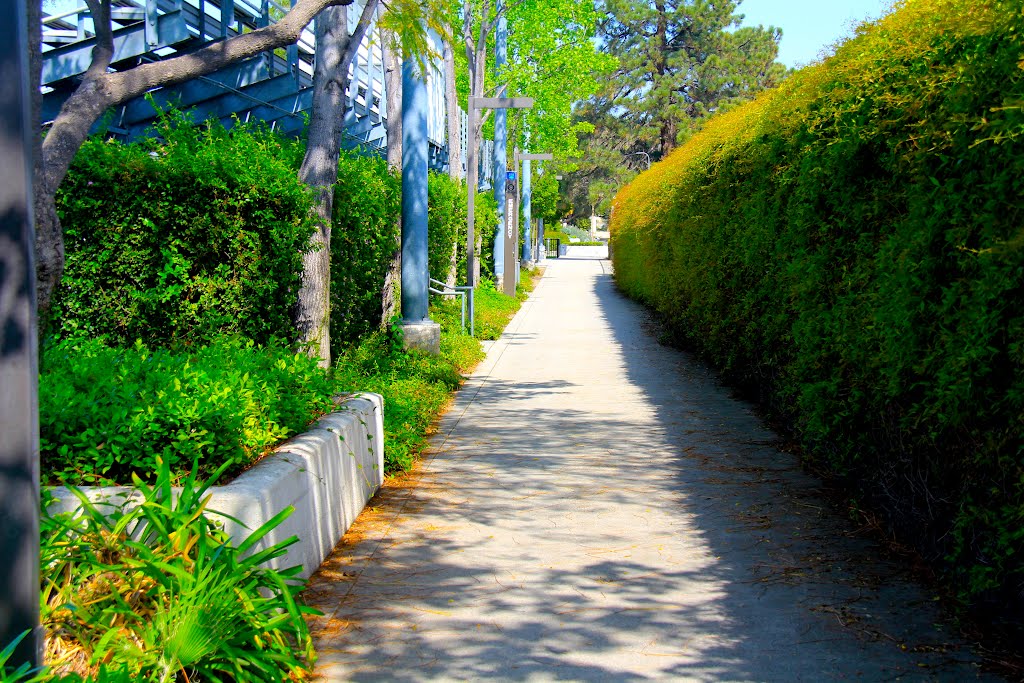 Claremont Colleges, Claremont, California by MICHAEL  JIROCH  &  www.michaeljiroch.com