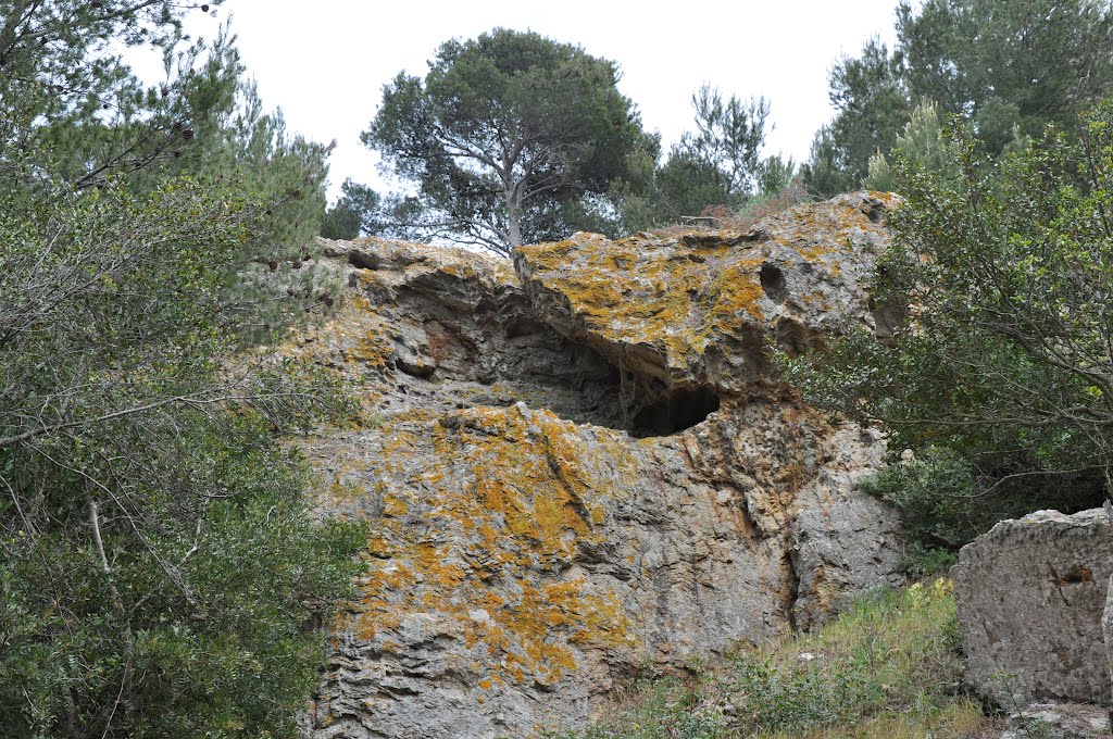 Île de Porquerolles, Hyères, Provence-Alpes-Côte d'Azur, France by M.Strīķis