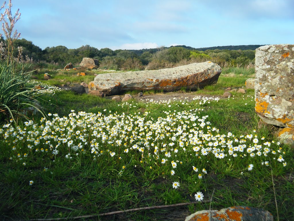 Olmedo; monte Baranta; menhir by Carmen Lai (Jana)