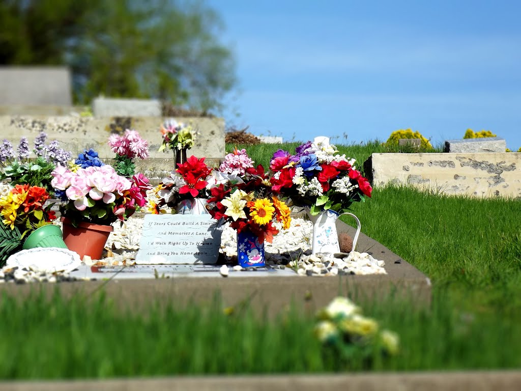 The most colorful grave...it's a fiesta for a dear grandma! by Diane MP