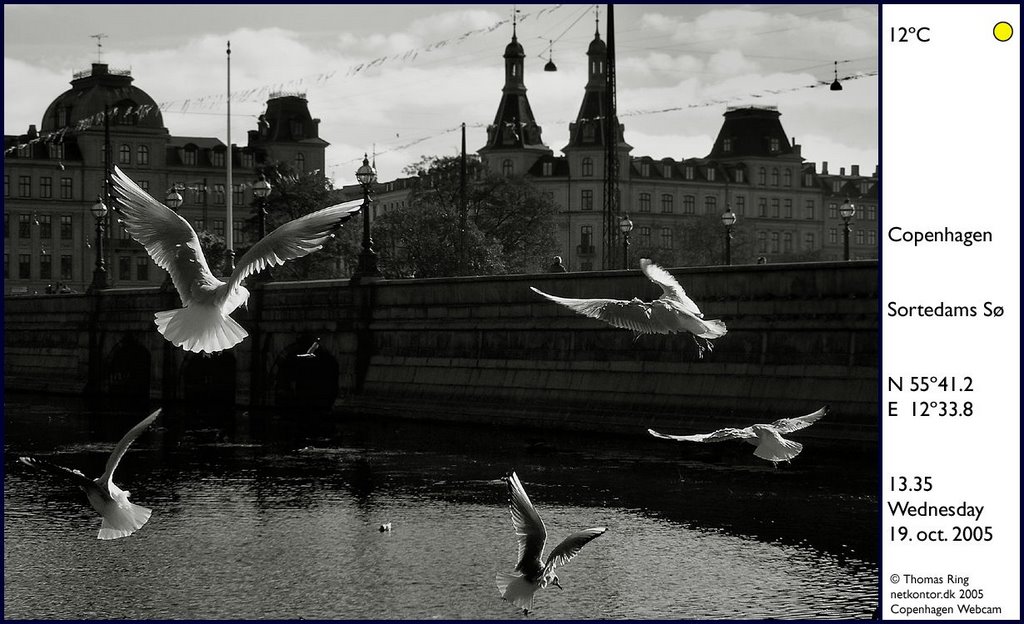 København, søerne by thomasring