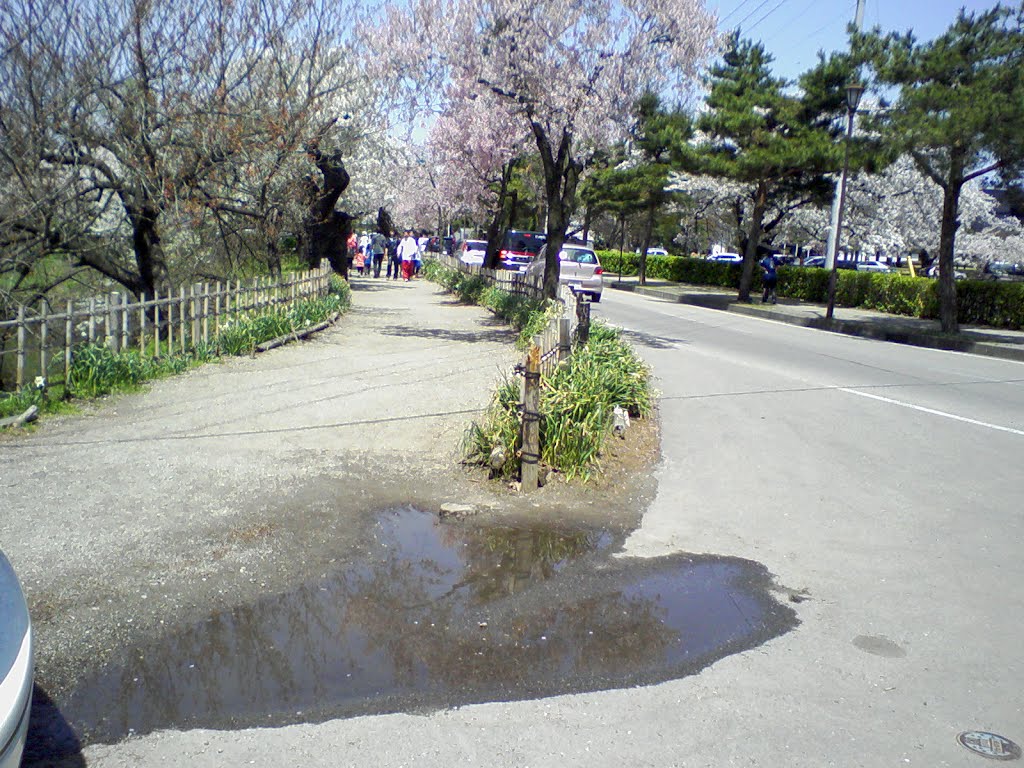 Heart-type puddle by addh Save Panoramio