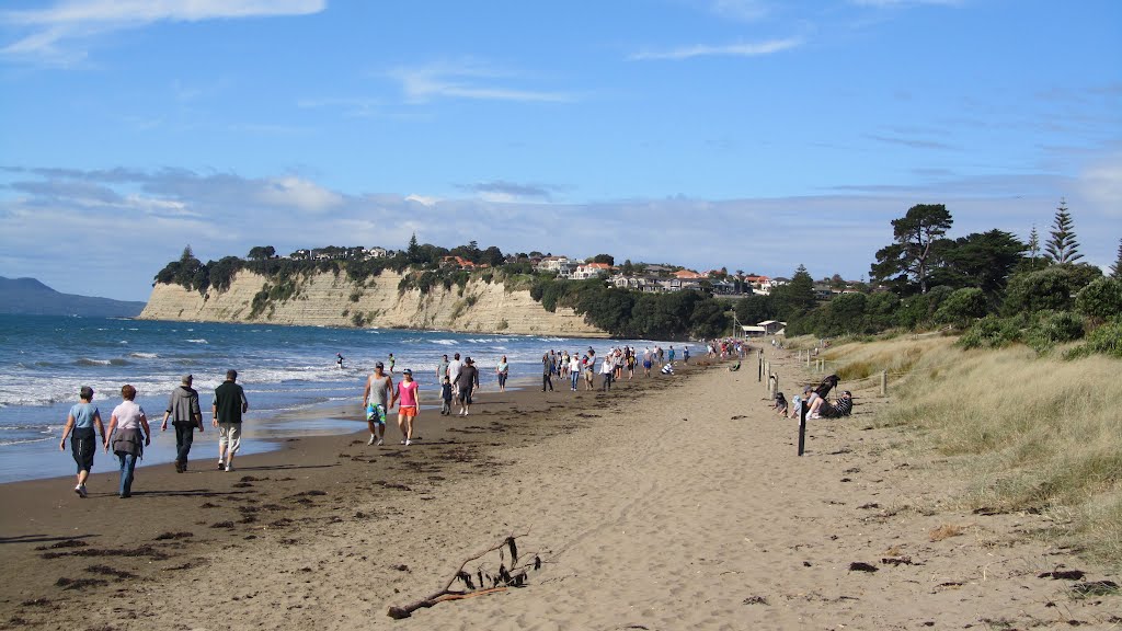 Walkers, high tide, Long Bay, Auckland by Murray Kerr