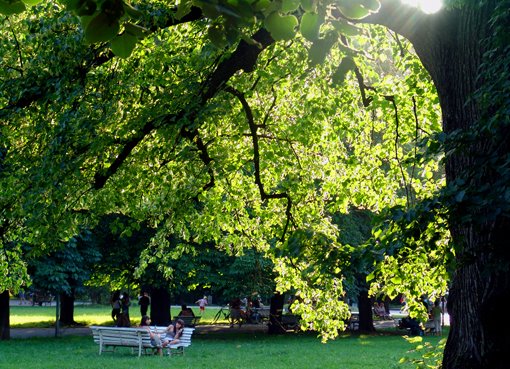 Sunny afternoon in the park by Bojidar Hinkov