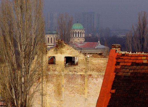 Autumn from my window by Bojidar Hinkov