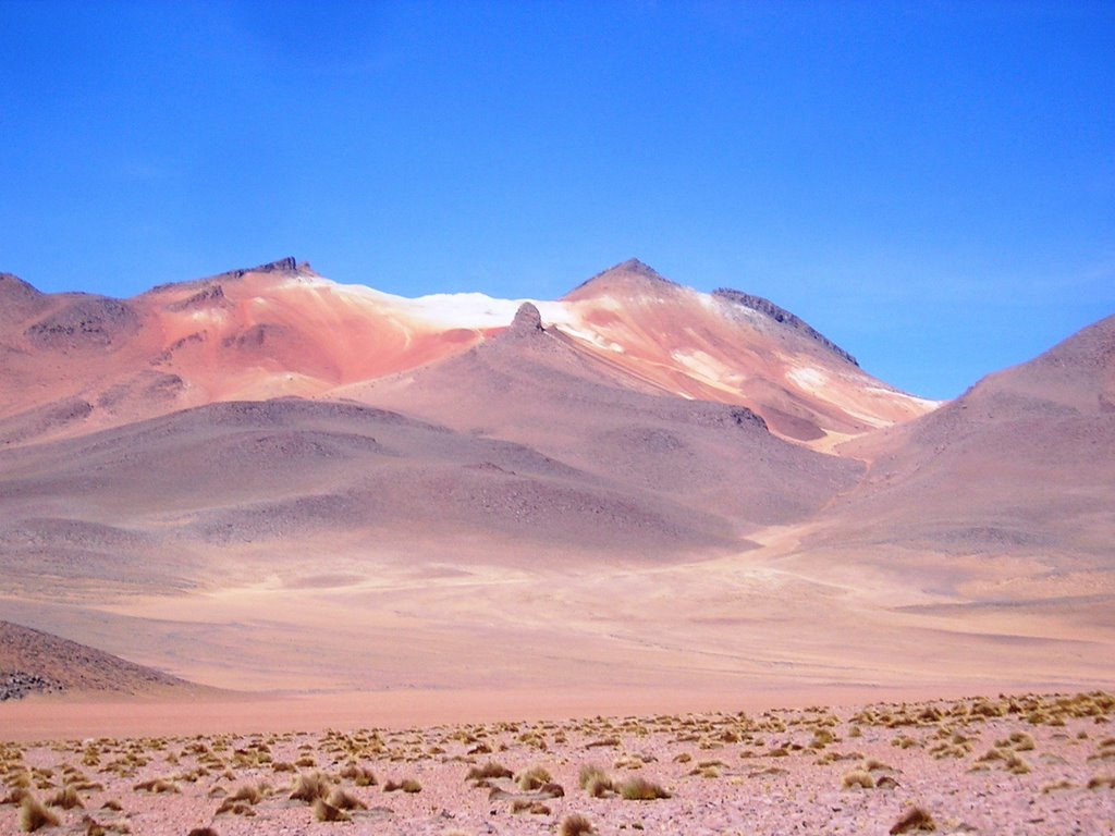 Attraverso il deserto Salvador Dalì by maresa maremagna