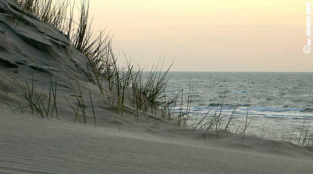 Noordwijk • fin de journée sur la plage by nicolas adet