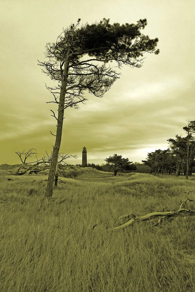 Windflüchter by russel