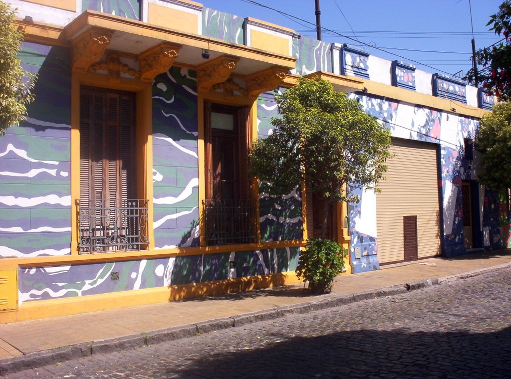 Casa pintada - Pje. Lanín by Martín César Rolando