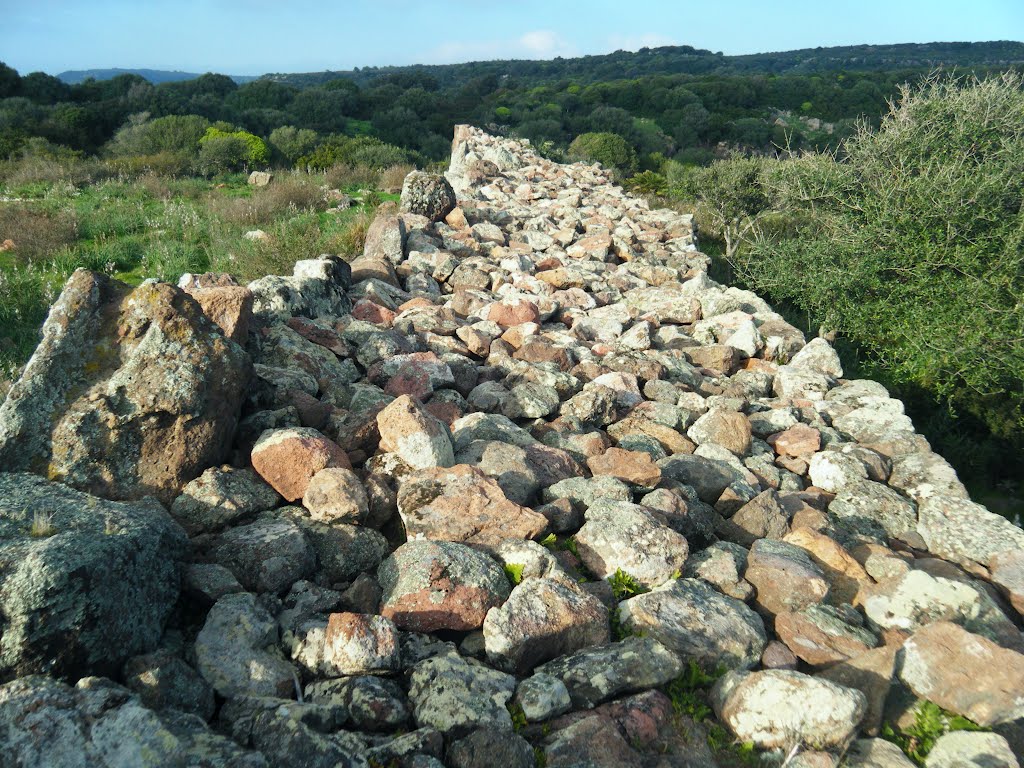 Olmedo; monte Baranta; spessore della muraglia megalitica by Carmen Lai (Jana)