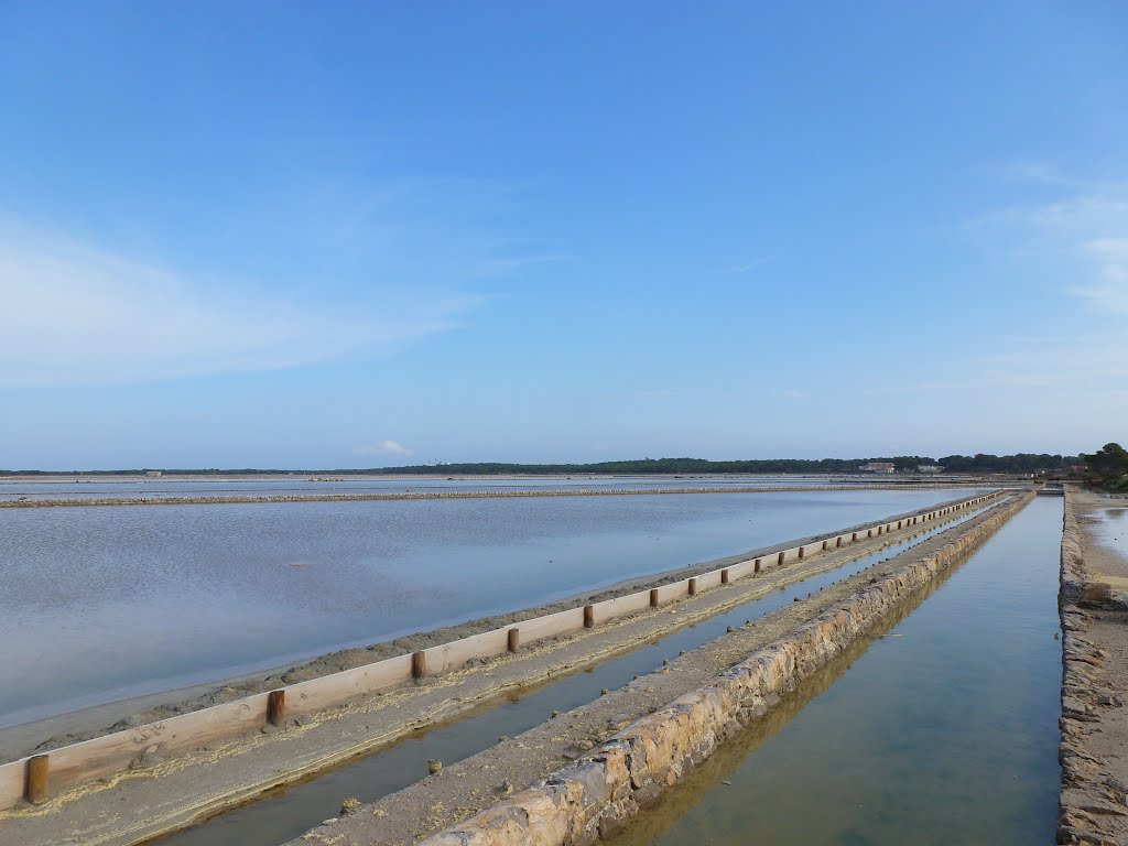 Mesa de billar en Ses Salines, abr.2012 by Can Tres